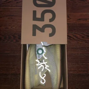 Adidas Yeezy Boost 350 V2 Antlia