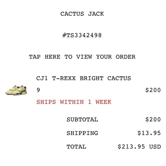 Cactus Jack Travis Scott CJ1 T-Rexx Bright Cactus Shoes Sneakers Men’s 9 NIB NWT