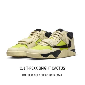 Cactus Jack Travis Scott CJ1 T-Rexx Bright Cactus Shoes Sneakers Men’s 9 NIB NWT