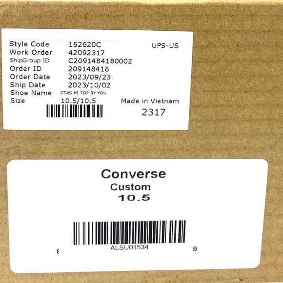 Converse Ctas High Top Shoes Skate Men Sneakers White Canvas Custom 152620C-WWW
