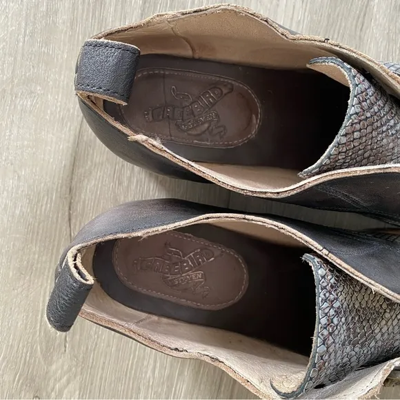 Freebird Mabel Distressed Snake Print Oxford Leather Shoes Women’s 11