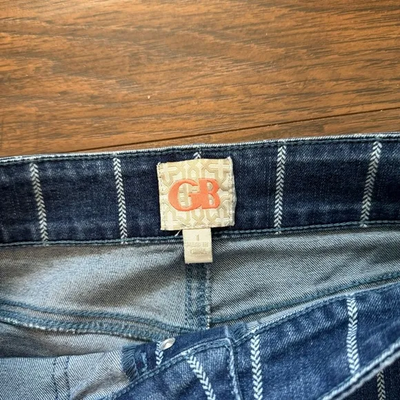 Gianni Bini Hippie Striped Denim Flare High Rise 5 Button Jeans Women’s Size 1
