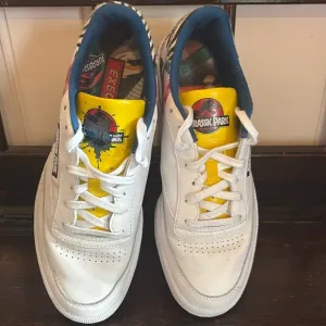 Limited edition, Jurassic Park Reebok shoes
