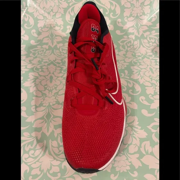 Men’s Nike Air Zoom BB NXT Basketball Shoes sz 14