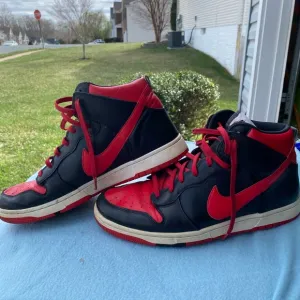 Men’s Nike Dunk shoes