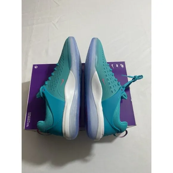 New Men’s Size 11 - Nike Zoom Nyjah 3 SB Dusty Cactus DV7896 302