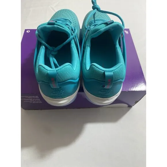 New Men’s Size 11 - Nike Zoom Nyjah 3 SB Dusty Cactus DV7896 302