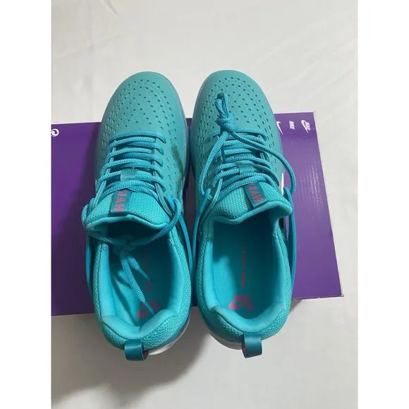 New Men’s Size 11 - Nike Zoom Nyjah 3 SB Dusty Cactus DV7896 302
