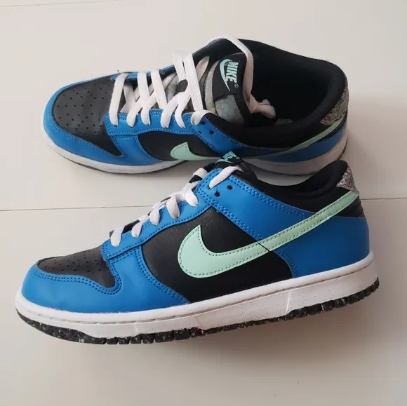 Nike Dunk Low Kids Unisex Sneaker Shoes