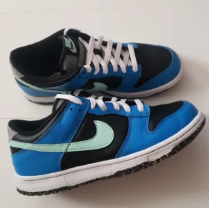 Nike Dunk Low Kids Unisex Sneaker Shoes