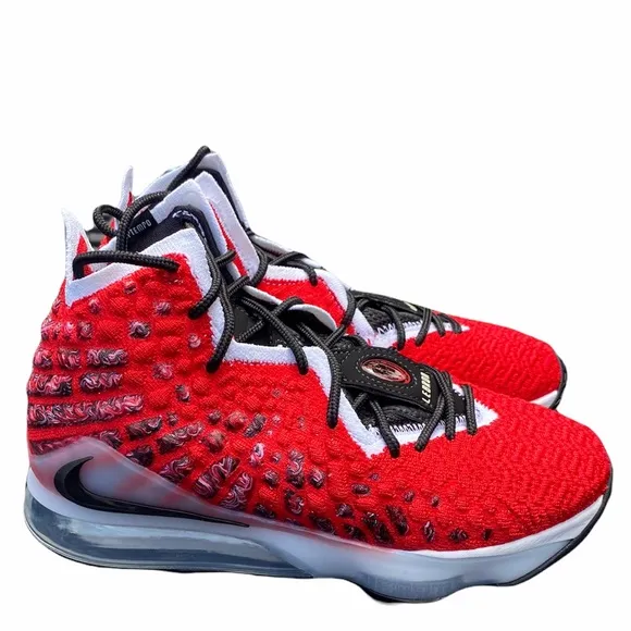 NIKE LEBRON XVII*Basketball Shoes*US5.5,6,6.5 $200