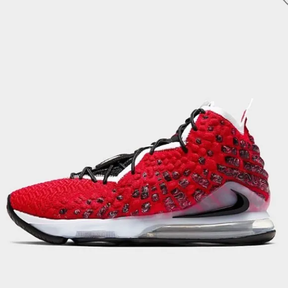 NIKE LEBRON XVII*Basketball Shoes*US5.5,6,6.5 $200