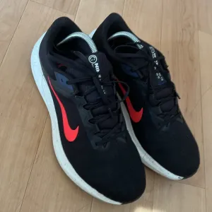 Nike Performance Nike Air WINFLO 10 Running US 11