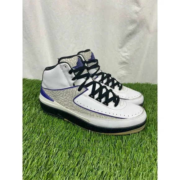 Nike Shoes Men's 9.5 Air Jordan 2 Retro &quot;Concord 2014&quot; Sneakers 385475-153