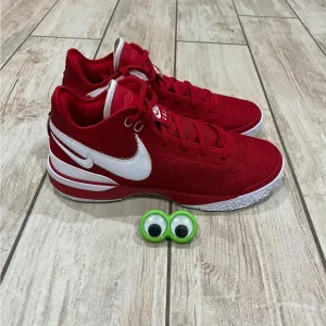 Nike Zoom LeBron James NXXT Gen TB Red Basketball NEW Shoes Men’s Size 12.5