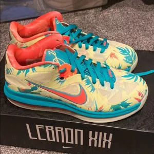 NWT Lebron XIX men’s shoes