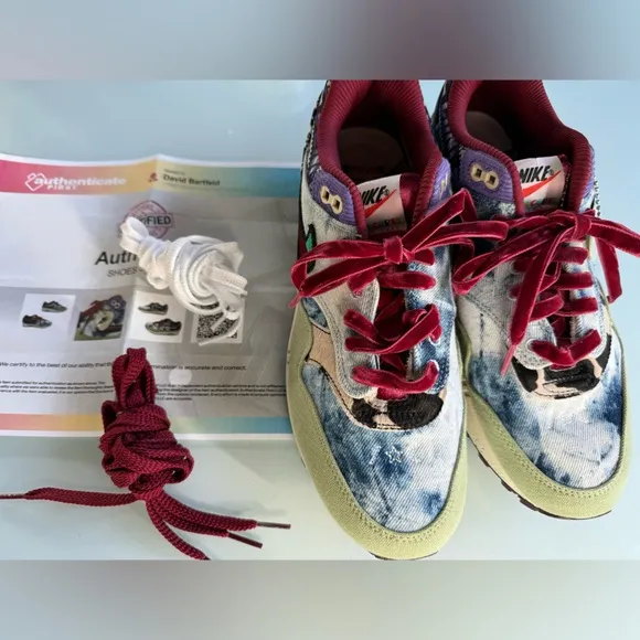NWT Nike Air Max 1 SP x Concepts “Mellow” Unisex Men's Size EU SZ 41 (M8 W10.5)