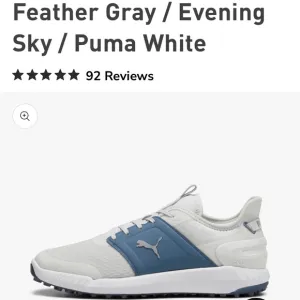 Puma Men’s spikeless golf shoes white and blue size 13