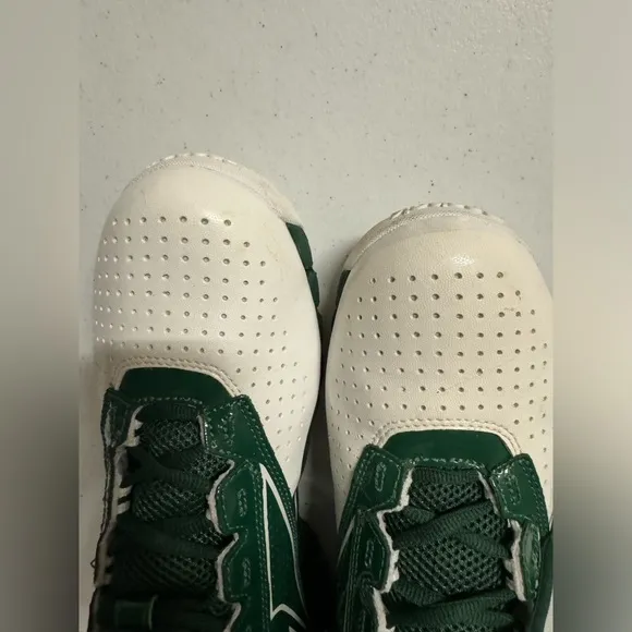 Reebok Zig Pro Future Men’s Basketball Shoes White Green Sz 10