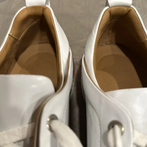 Royal Albartross Men’s Golf Shoes.