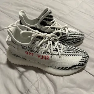 Sneakers - EUR41 or women’s 9.5 or men’s 7.5