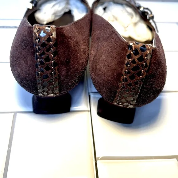 Stuart Weitzman Women Low Heel Brown Crocodile Pumps Size 8.                  K